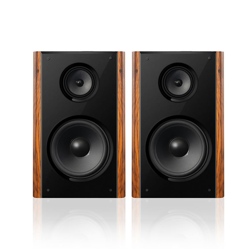 Professioneller 300W High Power Heimkaraoke-Lautsprecher | iHomeLife-HLQ HiFi-Audio für Heim-KTV, Heimkino und Kleine Aufführungen